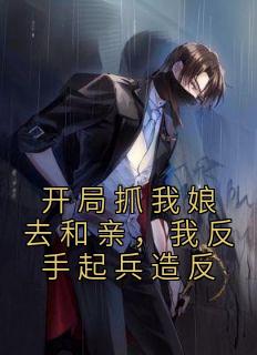 小说开局抓我娘去和亲，我反手起兵造反txt全文在线阅读