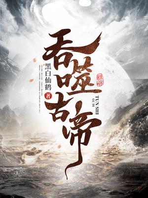 吞噬古帝苏辰苏昊