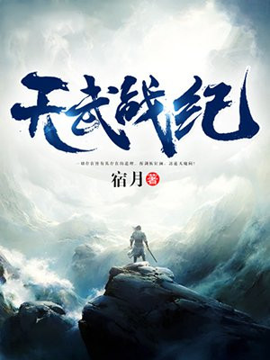 天武战纪