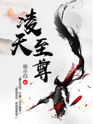 叶风林夕