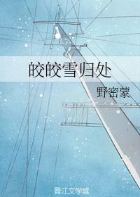 皎皎雪归处