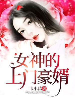 女神的上门贵婿赵旭