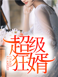 超级狂婿叶昊郑漫儿