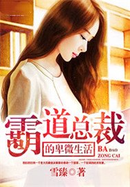 霸道总裁的卑微生活