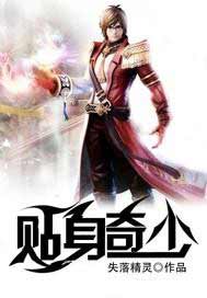 贴身奇少