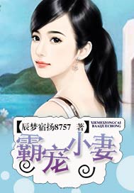 霸宠小妻
