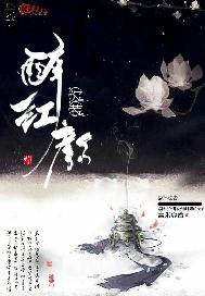 你若醉红颜
