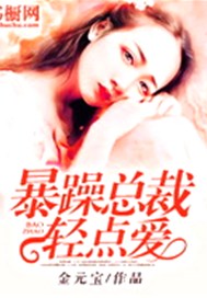 暴躁总裁轻点爱