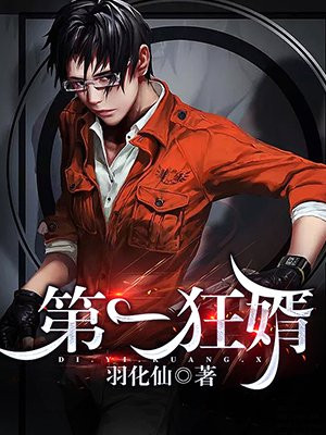 第一狂婿