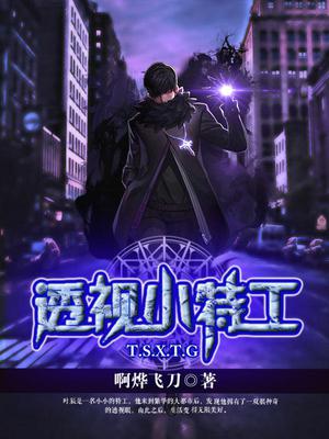 透视小特工叶辰