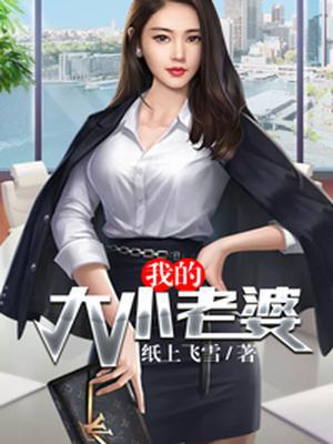 我的大小老婆